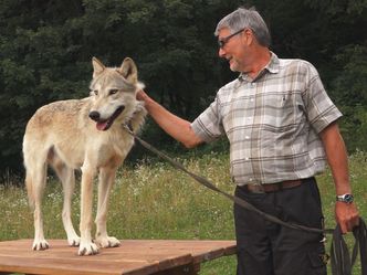 Kurt und seine Wölfe