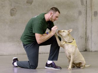 Hund und Mensch - Das Geheimnis einer Freundschaft