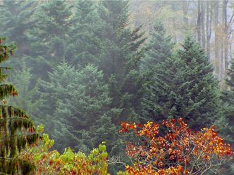 Herbst auf dem Land - Erinnerungen im Südwesten