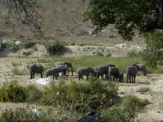 Wasserwelt Afrika