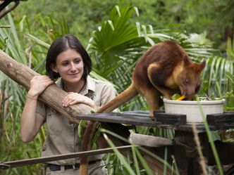 Die Superkräfte der Tiere