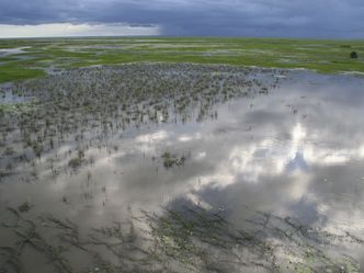 Afrikas verlorenes Paradies