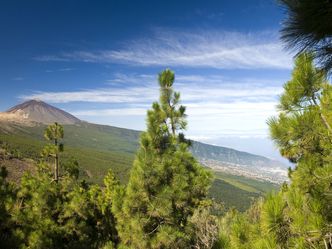 Nachhaltig unterwegs auf Teneriffa