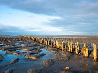 Planet Wissen - Weltnaturerbe Wattenmeer - Wild und wunderschön