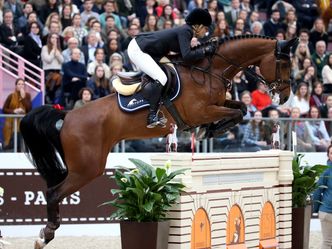 Springreiten: Weltcup