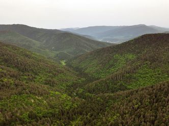 Georgiens wilde Schönheit - Von der Schwarzmeer-Küste in die Berge