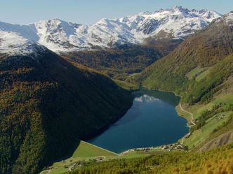 Tierwelt der Alpen