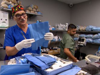 Tierarzt Dr. Jeff - Der Rocky Mountain Doc