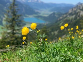 Das Tannheimer Tal - Juwel der Berge