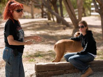 Pitbulls auf Bewährung