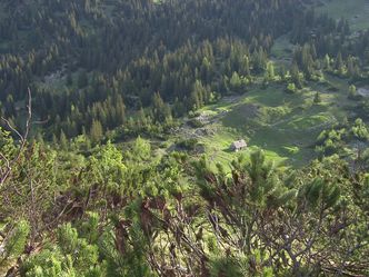 Urwald der Alpen - Wildnisgebiet Dürrenstein