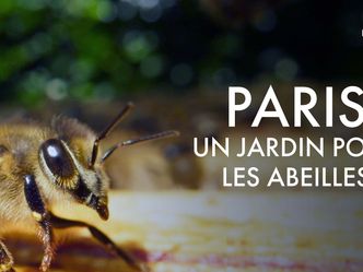 Paris, Hauptstadt der Bienen