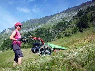 Bergbäuerinnen in Südtirol - Sommer