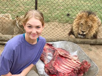Nina und die wilden Tiere - Löwenrudel gesucht