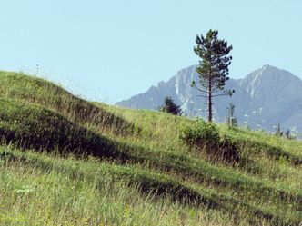 Bayerns Naturdenkmäler - Von Höllental bis Teufelsküche