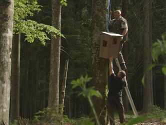 Wälder in Bayern - Faszination eines Lebensraums