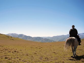 Der alte Arzt und sein Pferd - Über den Wolken Georgiens