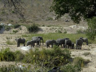 Wasserwelt Afrika