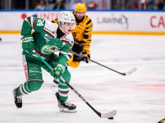 Eishockey - Svenska Hockeyligan - Finals - Rögle BK - Skellefteå AIK, Finale, Spiel 4