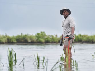 Der Strand der Haie mit Anthony Mackie: Golfküste