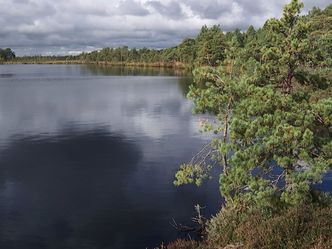 Nationalparks im Baltikum - Estland: Nationalpark Soomaa