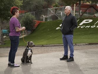 Cesar Millan: Guter Mensch, guter Hund