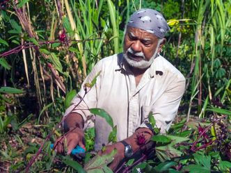 La Réunion: Die Wiederbelebung der kreolischen Gärten