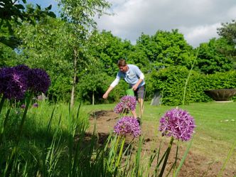 Rasch durch den Garten