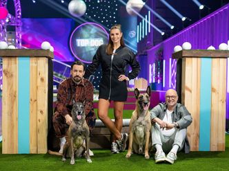 Top Dog Germany - Der beste Hund Deutschlands