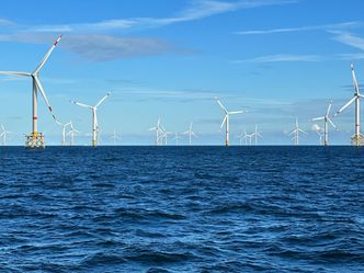 Windparks im Meer - Chance oder Risiko für die Natur?