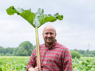 Im Bauch von Hamburg