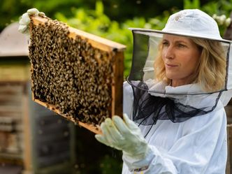 Das Ende der Insekten? - Maria Furtwängler auf Spurensuche