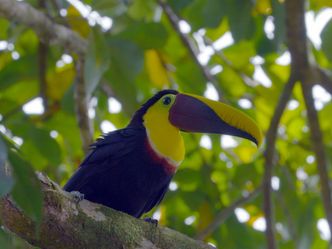 Costa Rica - Das pralle Leben