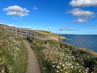 Das Paradies in der Ferne. Cornwall - Das Land der Rosamunde Pilcher