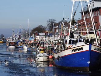 Überraschungen an der Kaikante - Rostocks Fischereihafen erfindet sich neu