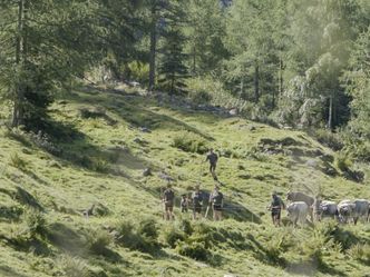 Land der Äcker - Die Bauern und die Politik