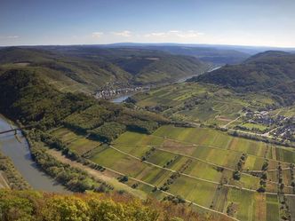 Der Hunsrück - Das Gebirge des scheinbar nie endenden Waldes