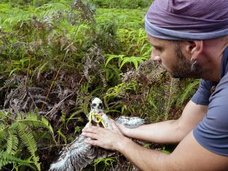 Die Insel La Réunion - Versuchslabor der Evolution