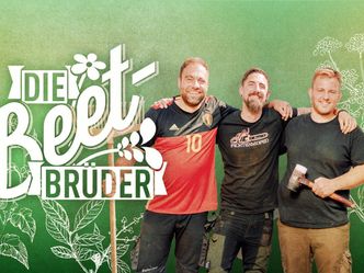 Die Beet-Brüder