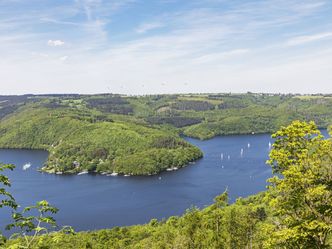 Expedition in die Heimat - Im Norden der Pfalz