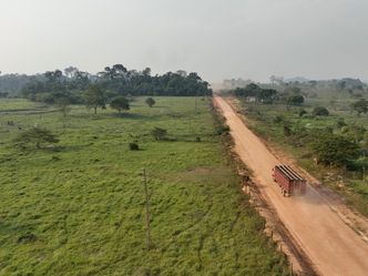 Illegales Leder - wie deutsche Autobauer den Regenwald bedrohen