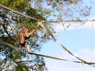 Borneo - Paradies auf Abruf