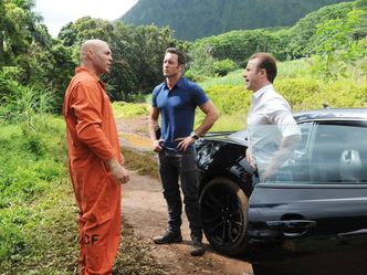 Hawaii Five-0