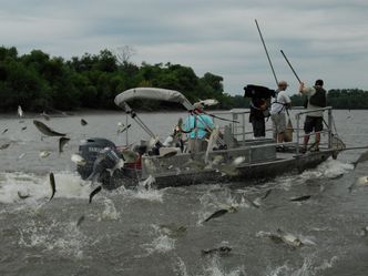 Auf der Suche nach dem Monsterfisch