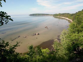 Wilde Ostsee