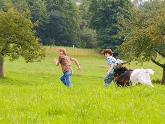 Tiere bis unters Dach