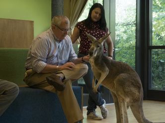 Bronx Zoo - Tierpark der Superlative