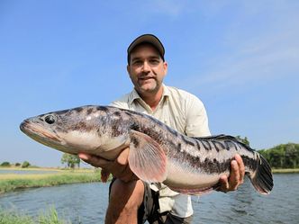 Auf der Suche nach dem Monsterfisch