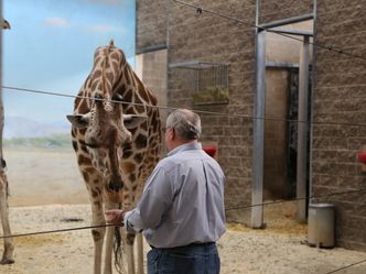 Bronx Zoo - Tierpark der Superlative