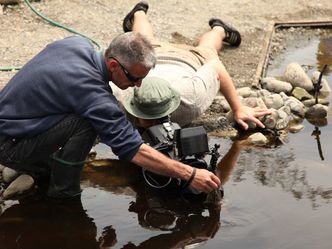 Auf der Suche nach dem Monsterfisch